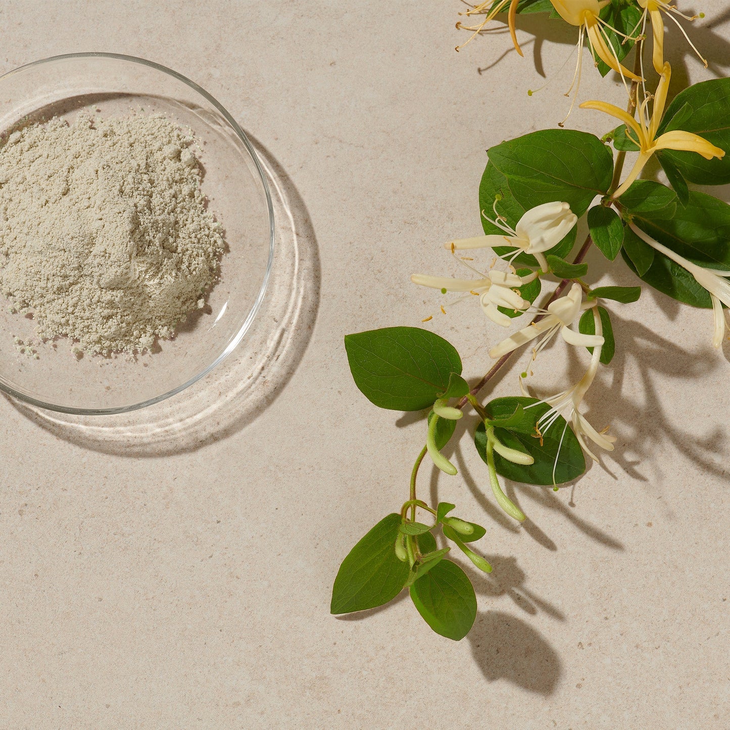 DETOX & BRIGHTEN CLAY MASK